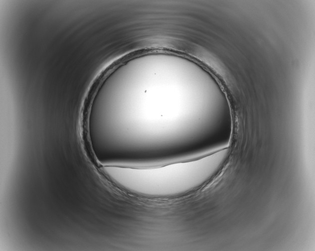 X0000098121020200804111111