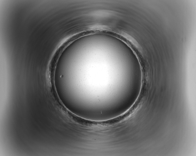 X0000098121022200804111111