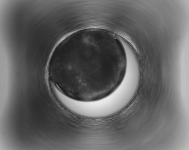 X0000098121024200804111111