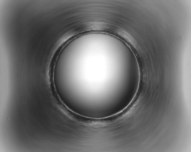 X0000098121026200804111111