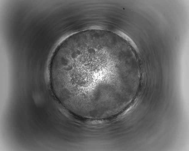 X0000098121027200804111111