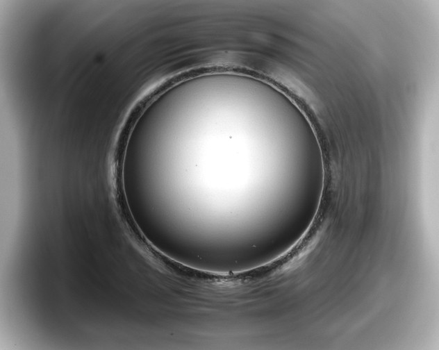 X0000098121029200804111111