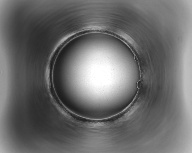 X0000098121030200804111111