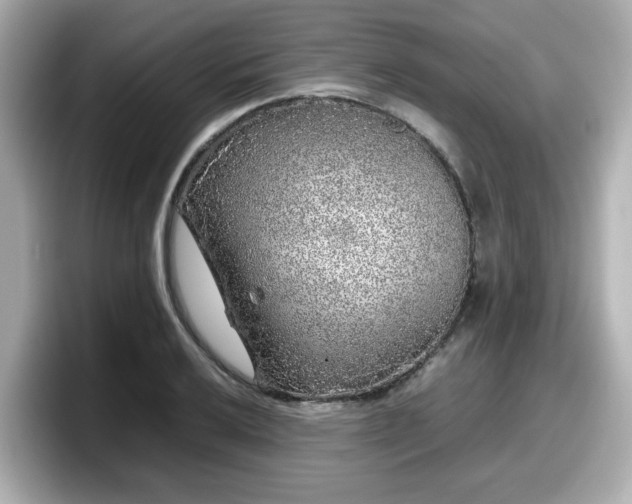 X0000098121032200804111111