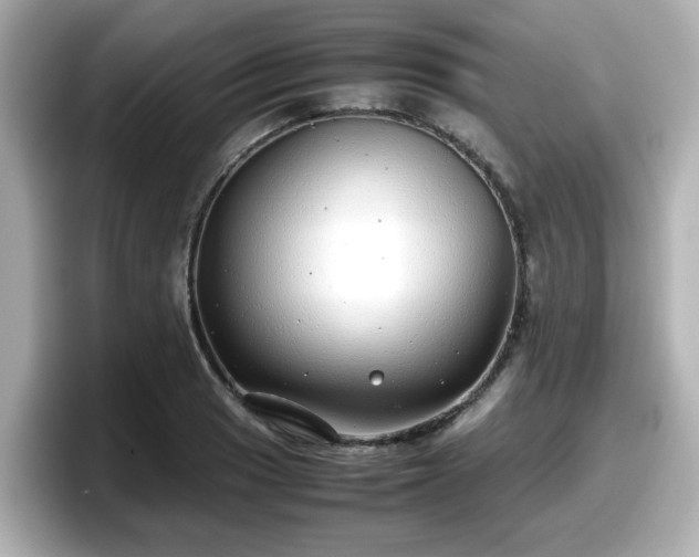 X0000098121033200804111111