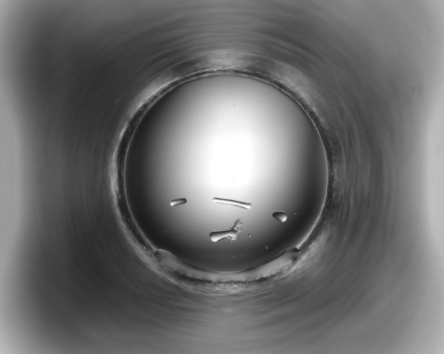 X0000098121034200804111111