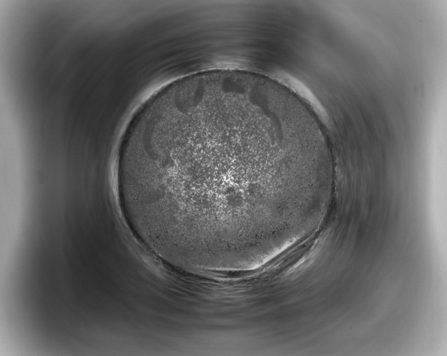 X0000098121035200804111111