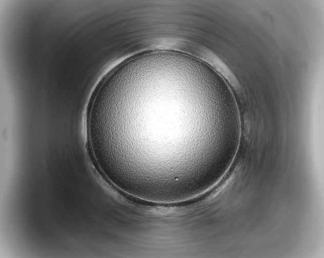 X0000098121036200804111111