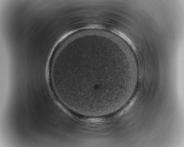 X0000098121037200804111111