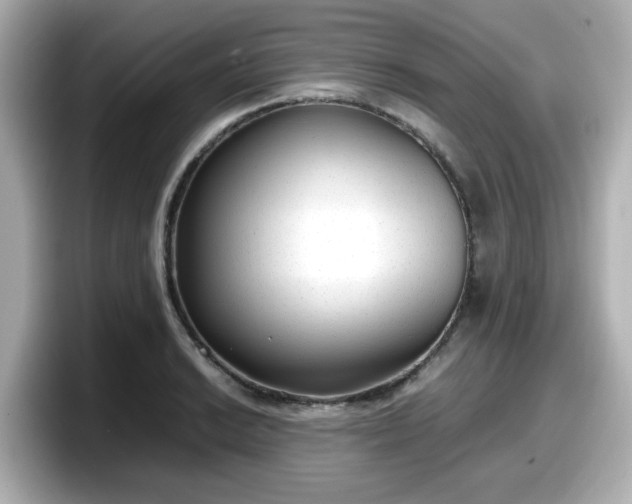 X0000098121038200804111111