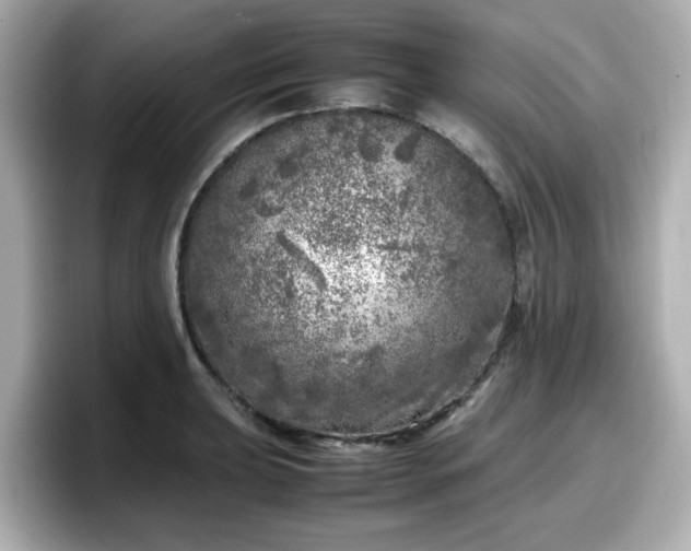 X0000098121039200804111111