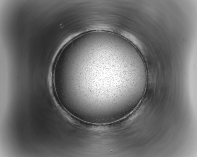 X0000098121040200804111111