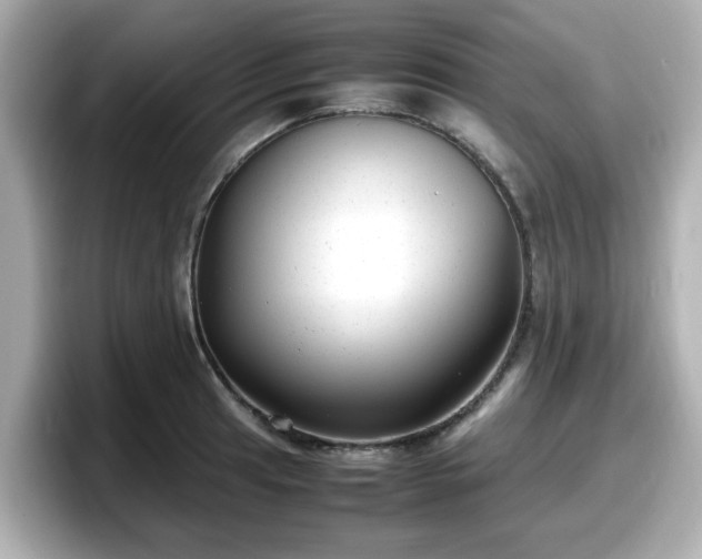 X0000098121041200804111111