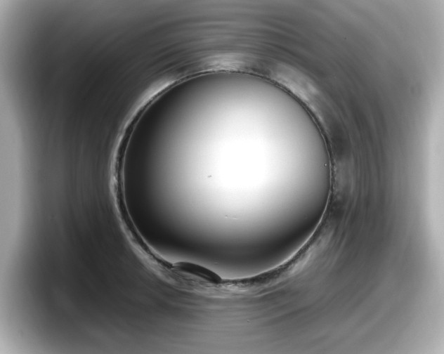 X0000098121042200804111111