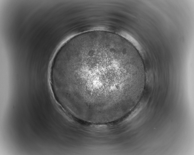 X0000098121043200804111111