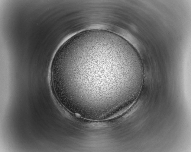 X0000098121044200804111111