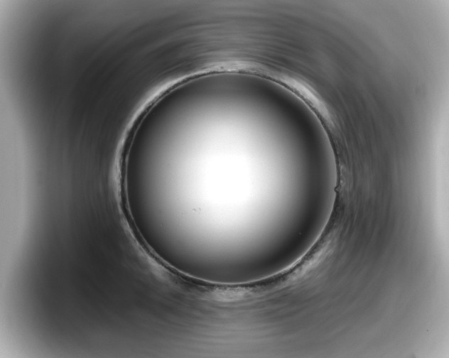 X0000098121046200804111111