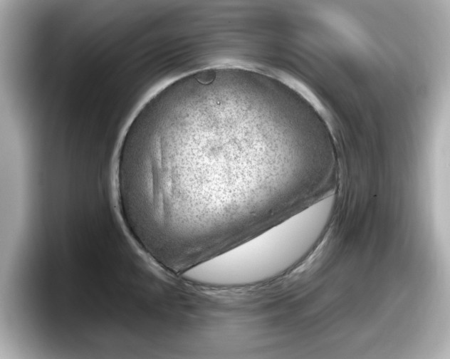 X0000098121048200804111111