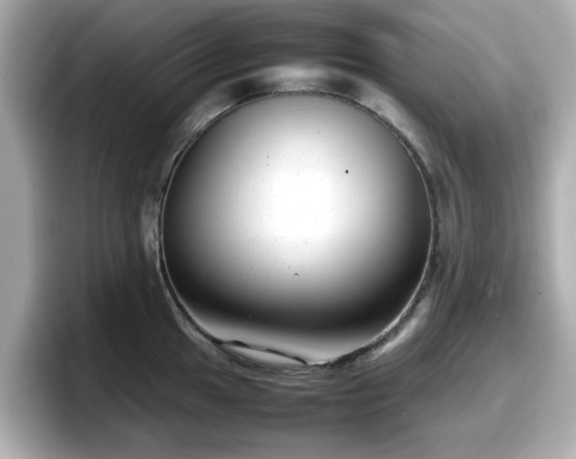 X0000098121049200804111111