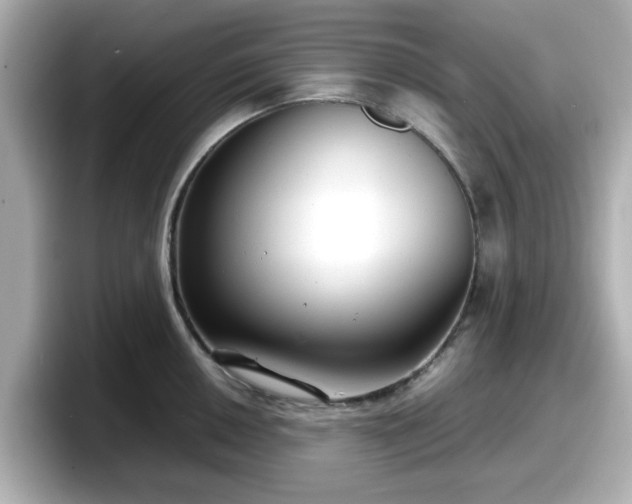 X0000098121050200804111111