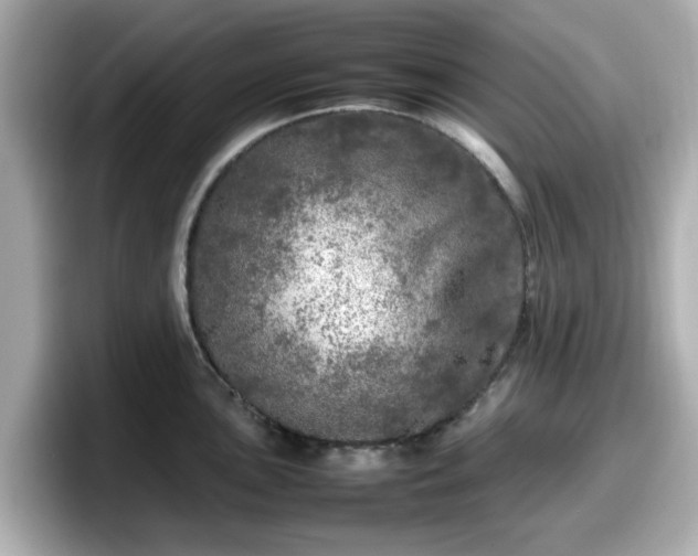 X0000098121051200804111111