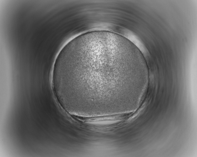 X0000098121052200804111111
