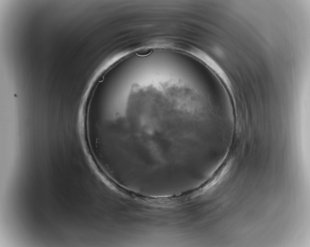 X0000098121053200804111111