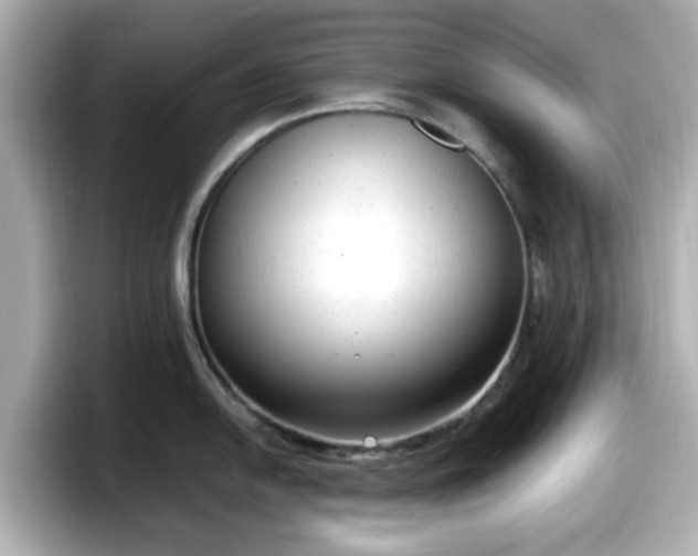 X0000098121054200804111111