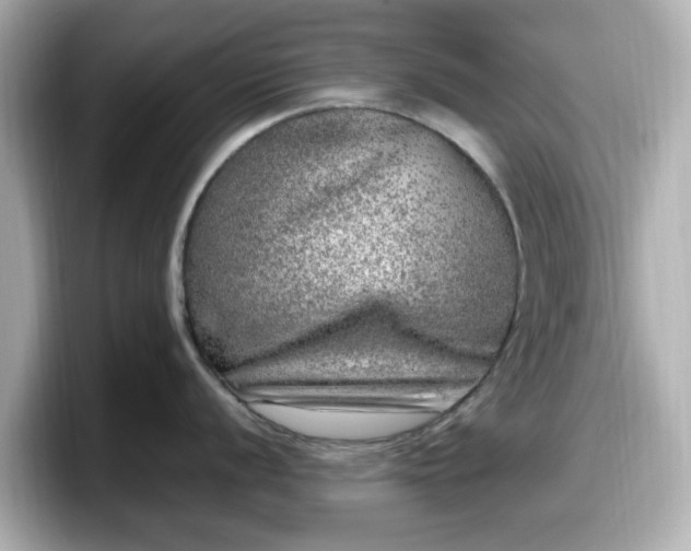 X0000098121056200804111111