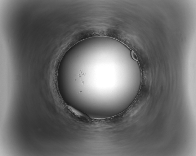 X0000098121057200804111111