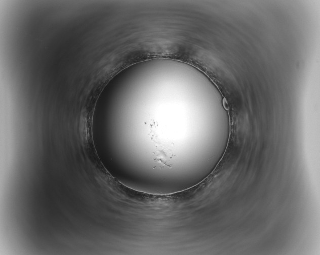 X0000098121058200804111111
