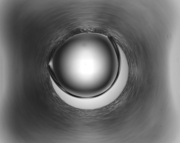 X0000098121060200804111111