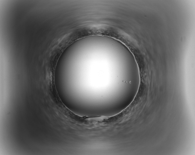 X0000098121061200804111111