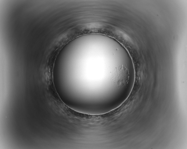 X0000098121062200804111111