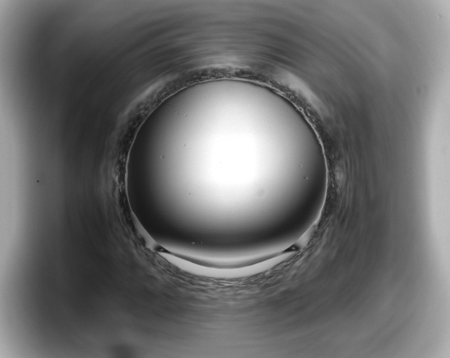 X0000098121064200804111110