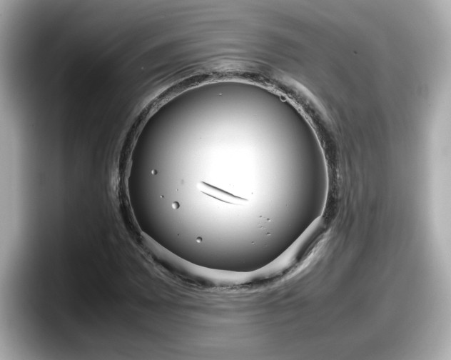 X0000098121065200804111110
