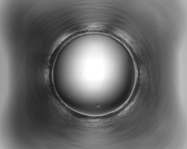 X0000098121066200804111110