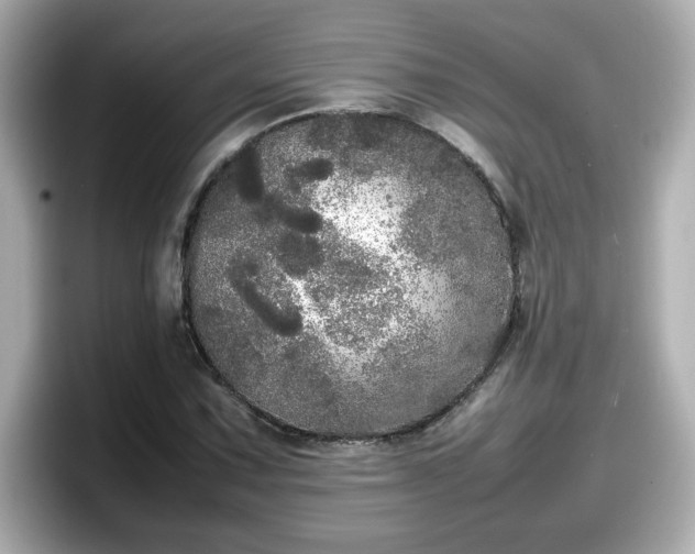 X0000098121067200804111110