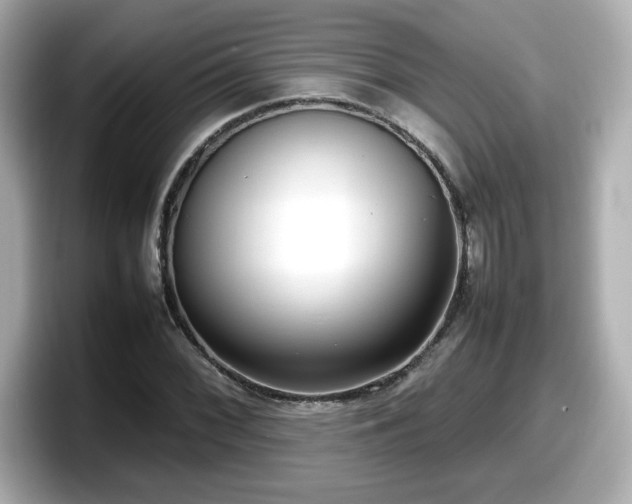 X0000098121068200804111110