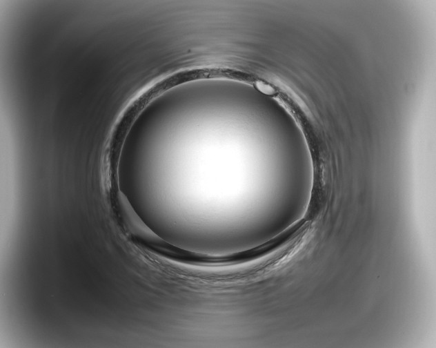 X0000098121069200804111110