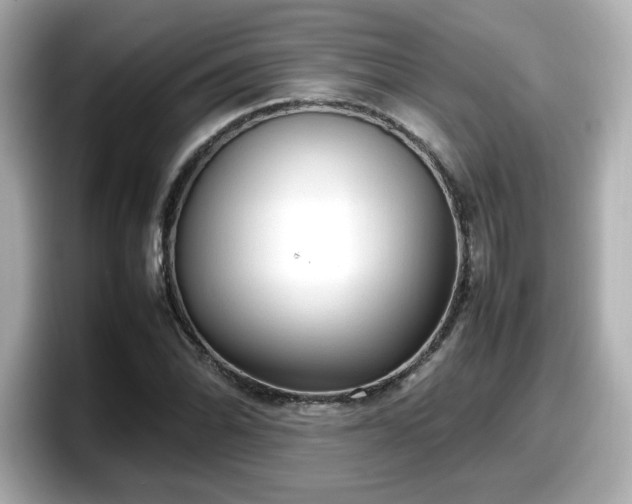 X0000098121070200804111110