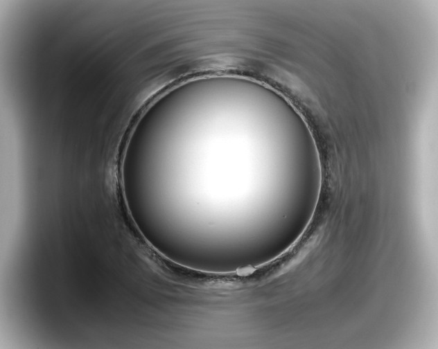 X0000098121073200804111110