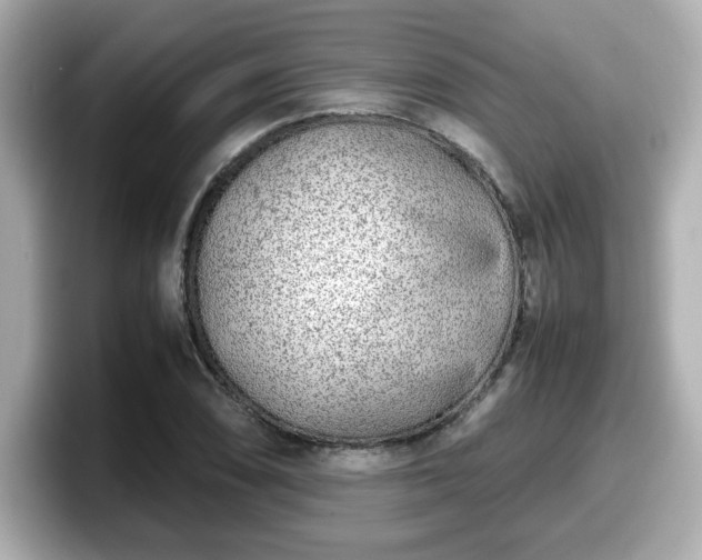 X0000098121074200804111110