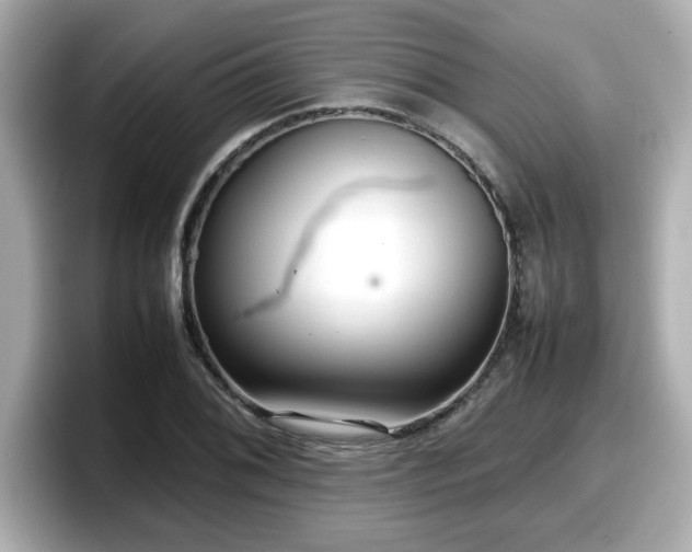 X0000098121076200804111110