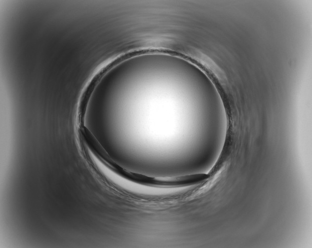 X0000098121077200804111110