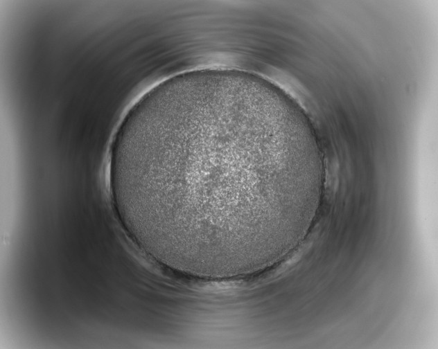 X0000098121078200804111110