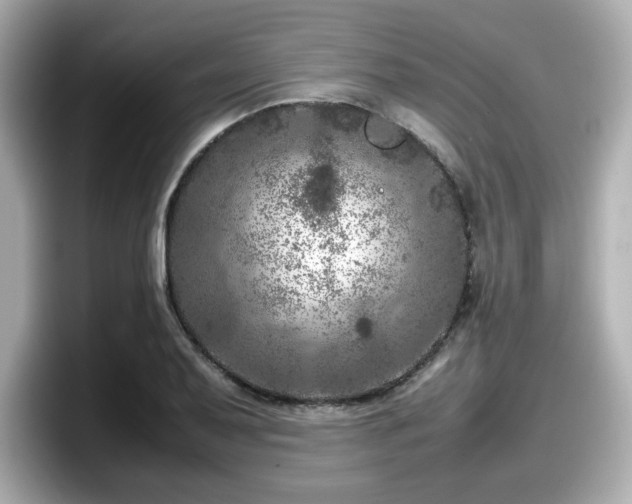 X0000098121079200804111110
