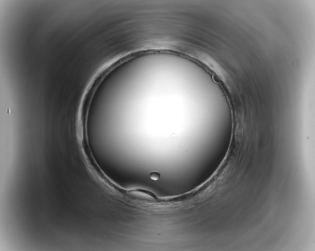 X0000098121080200804111110