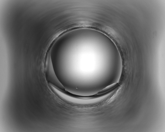 X0000098121081200804111110
