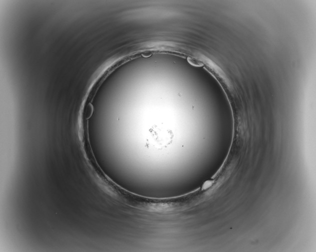 X0000098121082200804111110